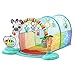 VTech 6-in-1 Tunnel of Fun (Frustration Free Packaging)