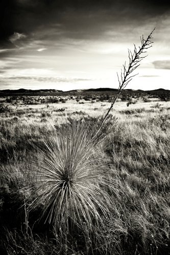 Capture el Paso