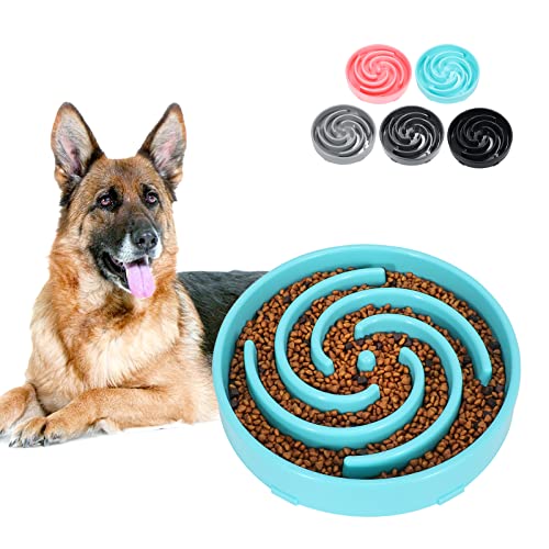 Unleash Your Dog's Feeding Fun with the Top 10 Maze Dog Food Bowls of 2021! Furry Folly