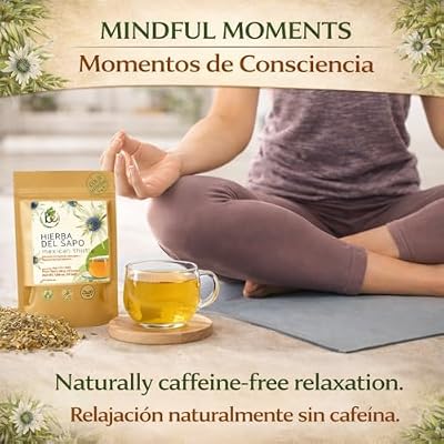 Hierba del Sapo Mexican Herbal Tea - 24 Premium Tea Bags (2000mg per Bag) - Authentic 100% Natural Mexican Thistle (Eryngium heterophyllum) - Caffeine-Free, Vegan & Non-GMO - by BEXPERTSUSA