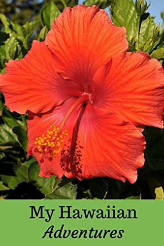 My Hawaiian Adventures: A Travel Diary