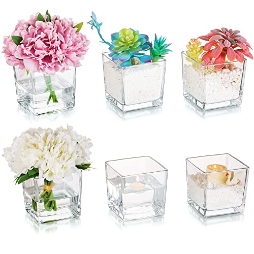 Buy Square Glass Vases Set of 6 Hewory 5x5 Clear Cube Flower Vase