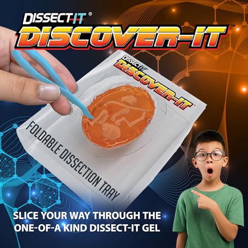 Image of Discover-It Owl Pellet, Science Lab Kit, STEM Toys for Kids, Ages 5+ | Synthetic Bones: Open a realistic owl pellet to discover hidden bones while learning about owls, food chains, and STEM