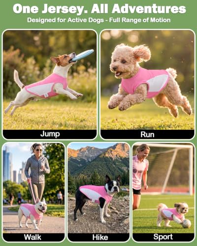 Image of CuteBone Cooling Stretch Sport Dog Tank - Athletic Fan Pet Jersey - Color Block Pet Vest for Small Dogs, Cats