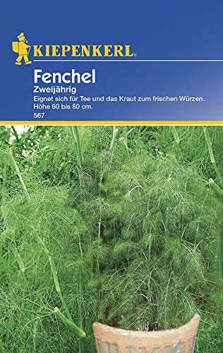 Preisvergleich Produktbild Kiepenkerl Fenchel Mehrjährig