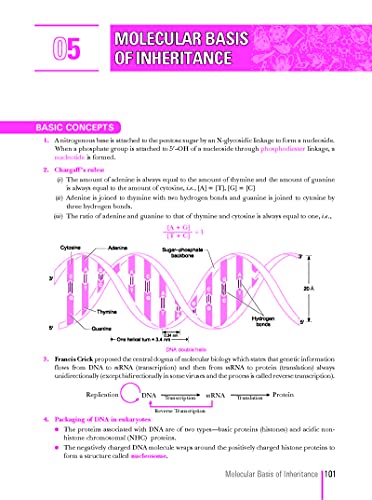 Image of Xam Idea CBSE MCQs Chapterwise For Term I, Class 12 Biology (With massive Question Bank and OMR Sheets for real-time practise)