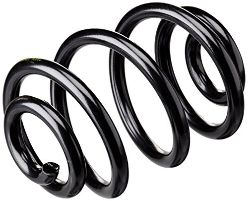 Kilen lesjofers 4208452 Coil Spring Rear