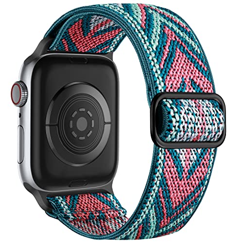 Lerobo Stretchy Nylon Solo Loop Apple Watch Band