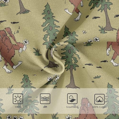 Little Boys Briefs Bigfoot Sasquatch Soft Cotton Toddler Underwear in Sizes 2/3t, 4t, 5t, 6 and 83