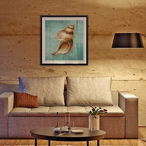 Conch Nautilus Seashell Painting Nautical Art Framed Giclee Canvas Prints Coastal Wall Decor - Black Frame - Image 3