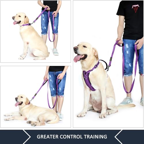 Image of Pioneer Petcore Dog Leash 6Ft Long,Traffic Padded Two Handle,Heavy Duty,Reflective Double Handles Lead For Control Safety Training,Leashes Large Dogs Or Medium Dogs,Dual Leads (Purple)