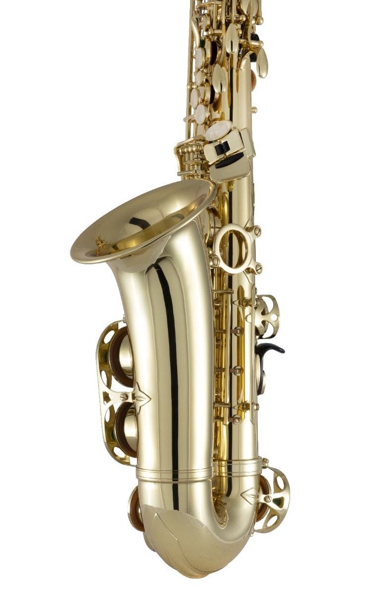 Amazon.com: Prelude by Selmer AS111 Student Alto Saxophone