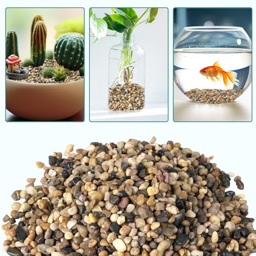 Image of 5 lbs Small Rocks for Plants, 1 /5 Inch Gravel for Plants Drainage | Decorative Potting Pebbles for Indoor Plants, Vases, Bamboo, Succulent, Terrarium, Crafts, Cactus