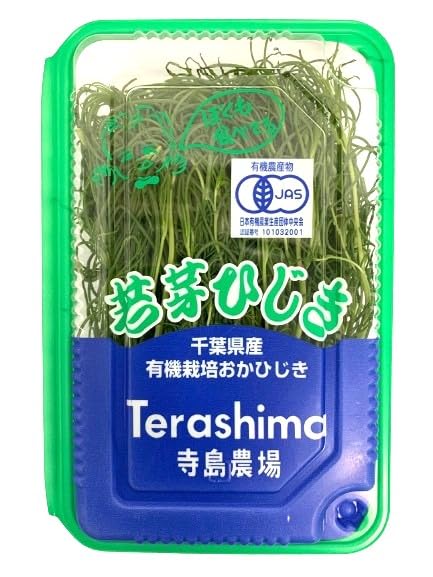 Amazon | 【朝市場直行】千葉県ほか おかひじき 約80g x2個セット
