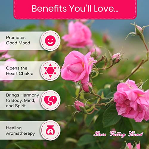 Rose Essential Oils For Skin Use - Rose Oil Essential Oil By Rose Valley Land, Premium Grade Rose Fragrance Oil For Skin, Essential Oil For Perfume Making, Essential Oils For Soap Making, 1 Ml Bottle #TOP2