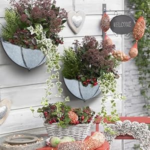 yosager 3 Pack Galvanized Metal Umbrella Wall Planter, Hanging Wall Flower Holder, Succulent Hanger Vase Indoor Outdoor Rustic for Garden Home Wall Decor yosager 3 Pack Galvanized Metal Umbrella Wall Planter Hanging Wall Flower Holder Succulent Hanger Vase Indoor Outdoor Rustic for Garden Home Wall Decor