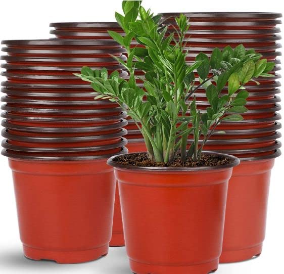 Tim Tim Agro 35 Packs of 6 Inches Flexible Plant Pots Plastic Plants Pots Flower Container Seed Starting Planter Nursery Pots for Seedlings Transplants Indoor, Outdoor, Garden (B0BFJNH93K) Amazon Price History, Amazon Price Tracker