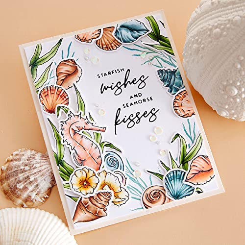 Spellbinders Garden Stamp & Die Set from The Seahorse Kisses Collection by Dawn Woleslagle, Metal, ONE - Image 4