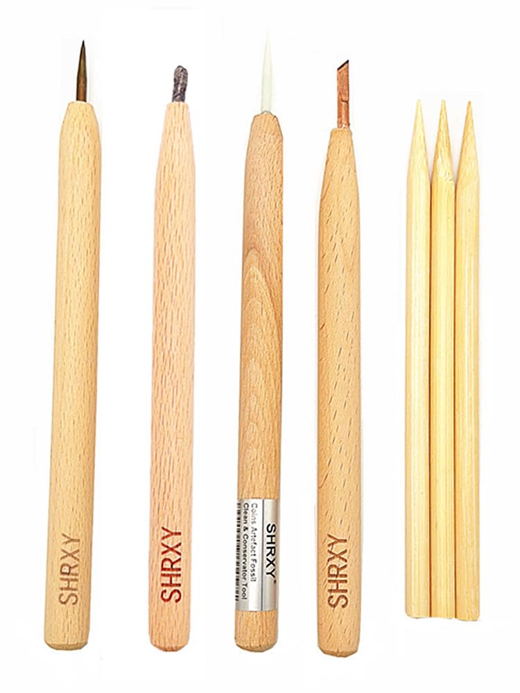 shrxy Cleaning Pencils Conservator Tool Complete Set for Coins and Artifacts (B1-7-mao)