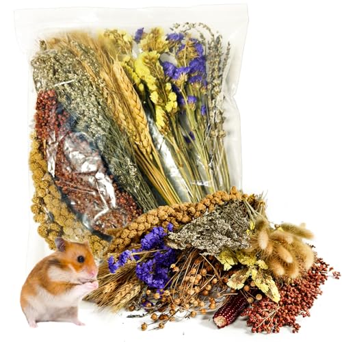 Acsist Natural Hamster Flower & Herb Habitat Deocr, Edible Hamster Sprays Flowers Bedding Mate, Hamsters Cage Enrichment Decoration Accessories for Gerbil Dwarf Syrian Hamsters Guinea Pig Mice