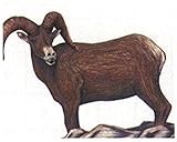 Maple Leaf NFAA Animal Faces Group 2 Ram