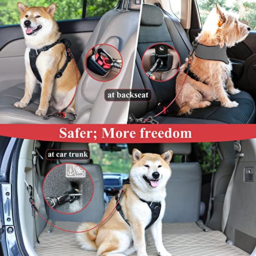 VIVAGLORY Sicherheitsgurt Hunde Tuffbelt Anschnallgurt Hund, Sicherheitsgurt Anschnallgurt Hundegurt für Auto Rückbank, Bissfest Anschnallen Autogurt, S, Rot