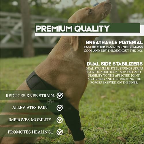 Image of Adjustable Dog Knee Brace for Torn ACL and Luxating Patella - Support for Back Leg, Hip Dysplasia, and Post-Surgery Recovery. Optimal Comfort and Stability for Your Beloved Pet