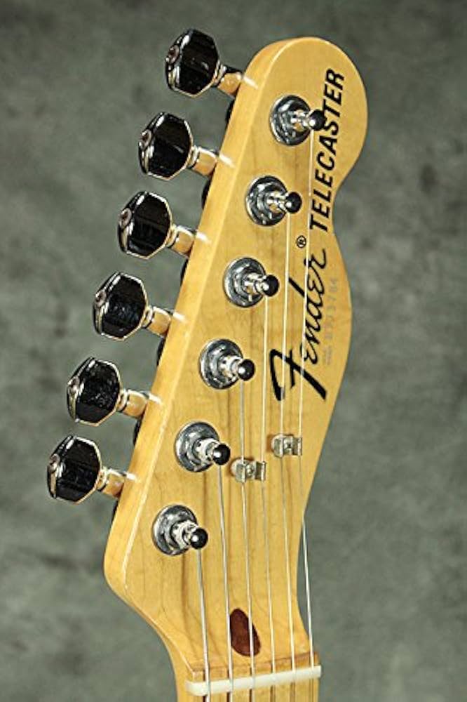 Amazon.co.jp: 【中古】FENDER JAPAN フェンダージャパン/CTL