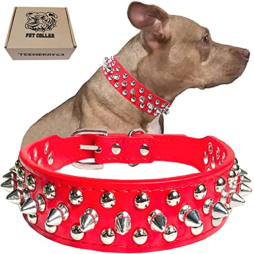 Best Collars for French Bulldogs 2022 (With Reviews!)