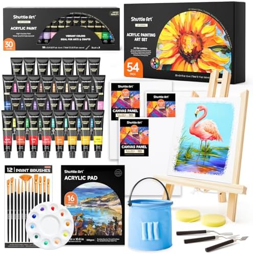Shuttle Art 54 Pack Acrylic Paint Set, Acrylic Painting Set with ...