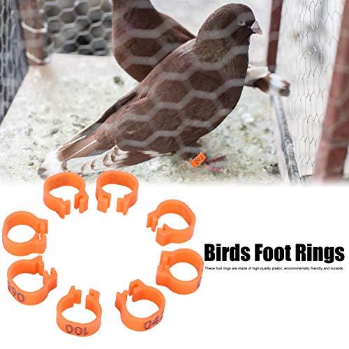 Vogels Voet Ringen, 100st Vogels Voet Ringen Nummer Identificatie Duif Been Bands Pluimvee Clip Ring:(Oranje) - Afbeelding 4