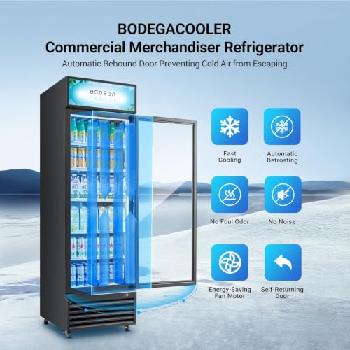 Image of BODEGACOOLER 15.5 Cu.Ft Commercial Refrigerator,Upright Display Cooler | 420 Cans Capacity, 5 Adjustable Shelves, Low-E Glass Door with Lock & LED, 34-50F, 4 Casters for Bar, Cafe & Office, Black