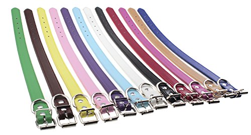 Set de 12 Collares Ajustables de Cuero para Perro Mediano Grande miniatura 4