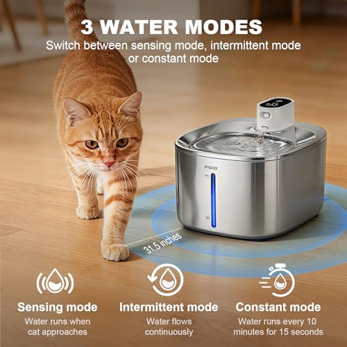 Automatic Pet Feeder