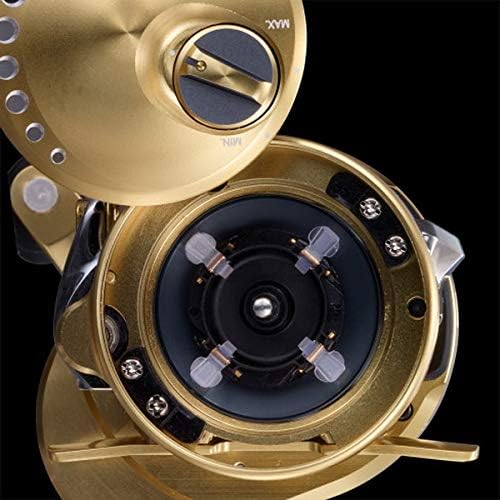 Shimano Baytreel Завоевание Калькутты, фото 8