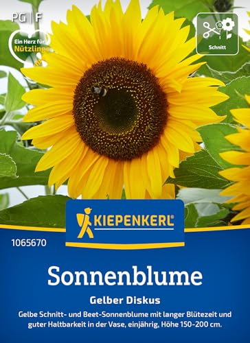 Kiepenkerl Sonnenblumensamen Gelber Diskus 1065670 Imposante Sonnenblumen mit goldgelben Blüten und stabilen Stängeln - Wildblumensamen Blumenwiese Saatgut