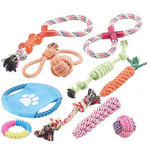 Sweetypet Hundebedarf: 10er-Set Bunte Hundespielzeuge aus Baumwolle zum Kauen und Toben (Welpenspielzeug)