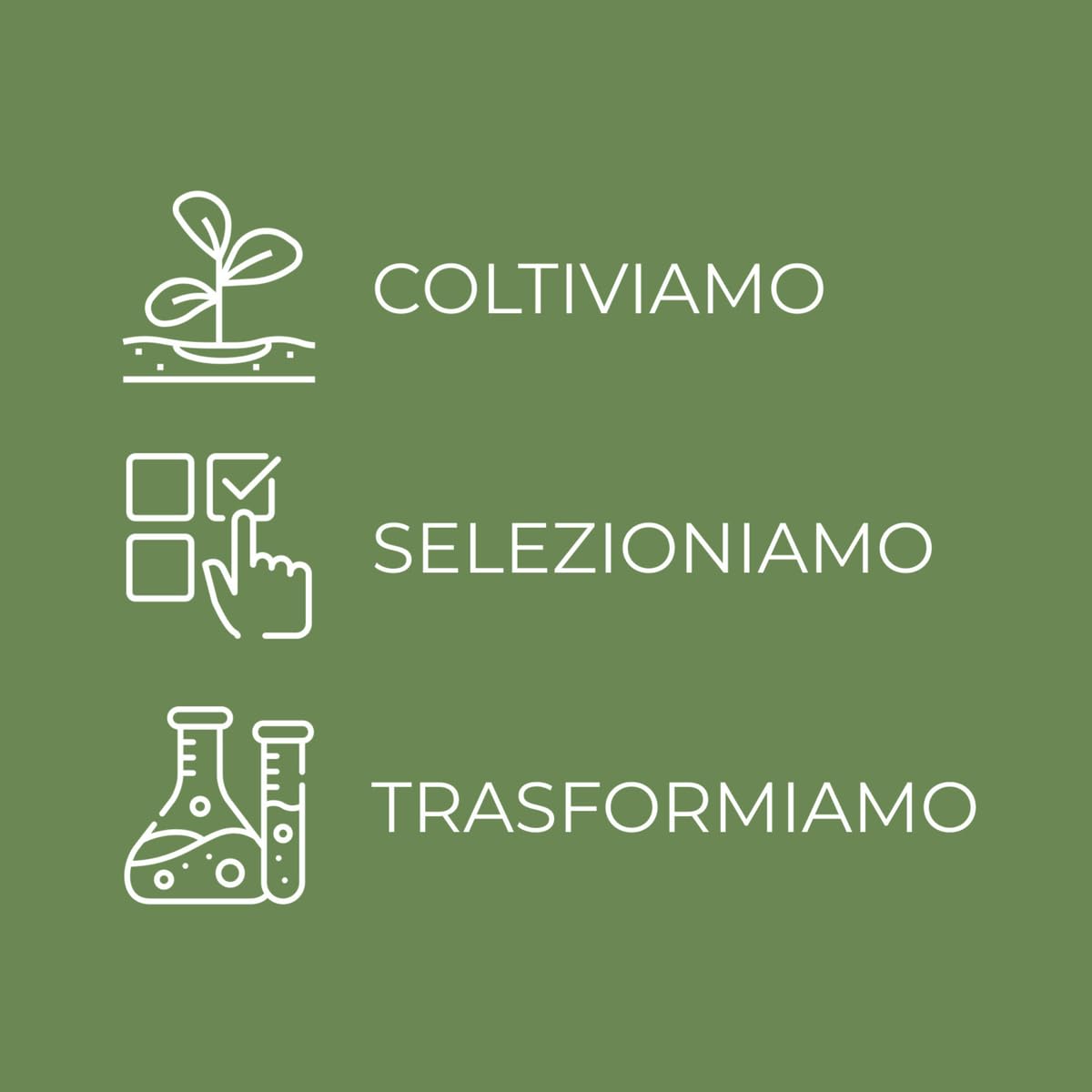 Bottega Verde - Stick Viso Multifunzione, Collagene + Elastina, 12 ml, Azione Idratante, Effetto Filler, per Tutti i Tipi di Pelle