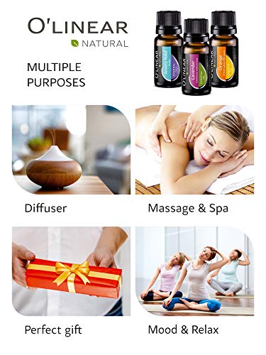 https://m.media-amazon.com/images/I/51oLBc8oFjL._SL500_.jpg