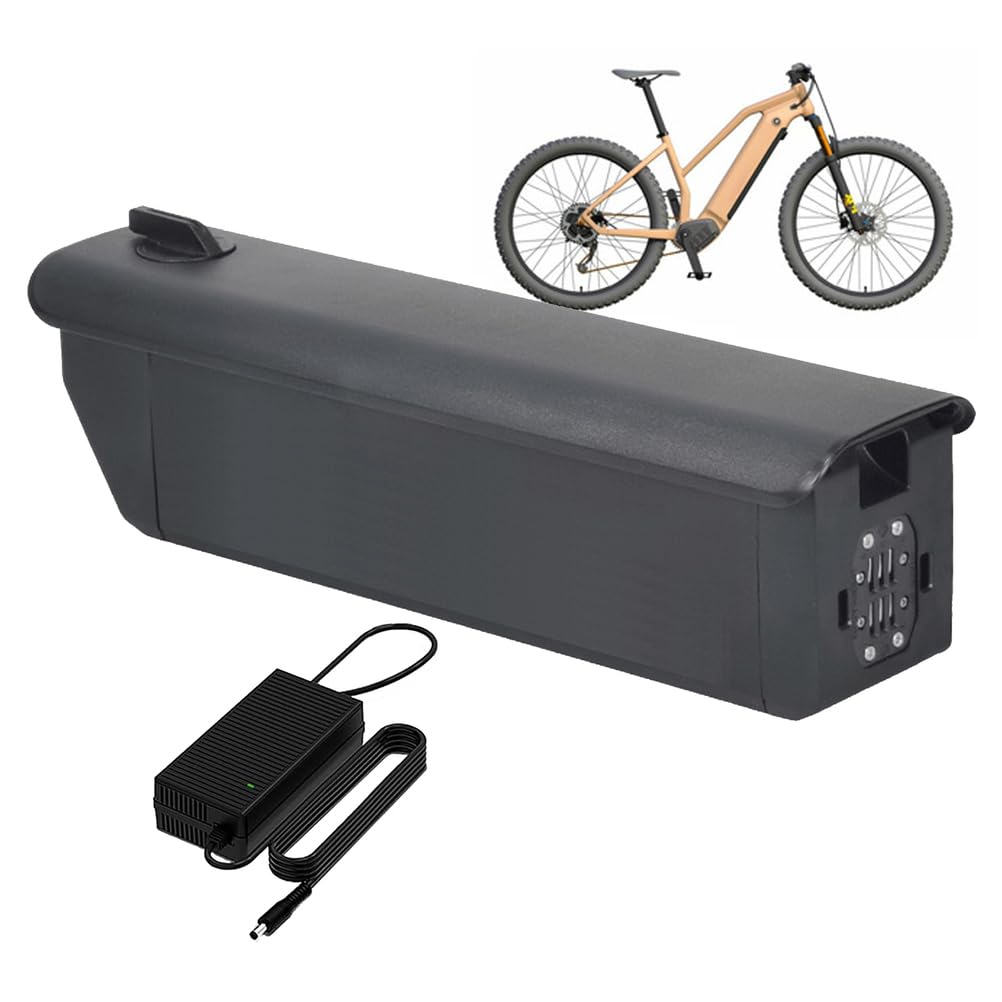 Batteria agli ioni di Litio 36V 17,5Ah 24,5Ah 30Ah Pacco Batteria al Litio 48V 14Ah 17,5Ah 20Ah Batterie per Motore 0-1100W con caricabatteria