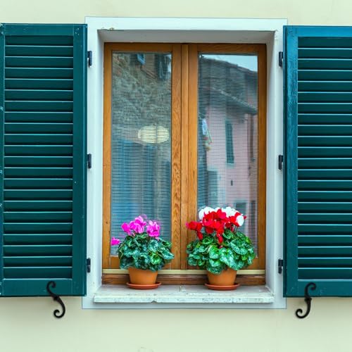 MorningRo Black S Style Shutter Dogs Hardware Decorative Shutter Dog Holders with Attachment Hardware 6.5 Inches External Shutters Tieback for Exterior Decorative Shutters(4 Pack,Iron)