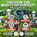 Spooky Fluttering Solar Hummingbird Garden Stakes Decorative 3 Pcs - Halloween Hummingbird Solar Garden Stakes for Haunted & Trick‑or‑Treat Pathways, Bright & Colorful Feathers (Battery NOT Included)