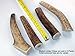 Jim Hodges Dog Training Elk Antlers for Dogs, Premium Grade A, Antler Dog Chew, Dog Chew Bones for Small, Medium and Large Dogs, Long Lasting for Aggressive or Mild Chewers. Made in The USA