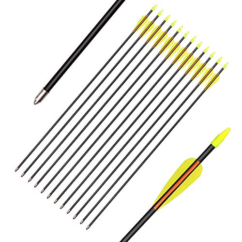 Best arrows for recurve target shooting Our Favorite of 2022 licorize