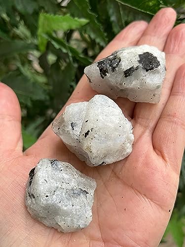 GAF TREASURES 3 Pcs Raw Rainbow Moonstone Crystals, Natural Rainbow Moonstone Stone, Rainbow Moonstone Rough, Rainbow Moonstone Healing Crystals (Rainbow Moonstone)