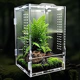 Faunarium 12x12x20cm Reptil Fütterungsbox Feeding Box Springspinne für Schildkröte Leopardgecko Bartagame Frosch Insekt Leguan Fisch Tarantel Amphibien(Acryl)
