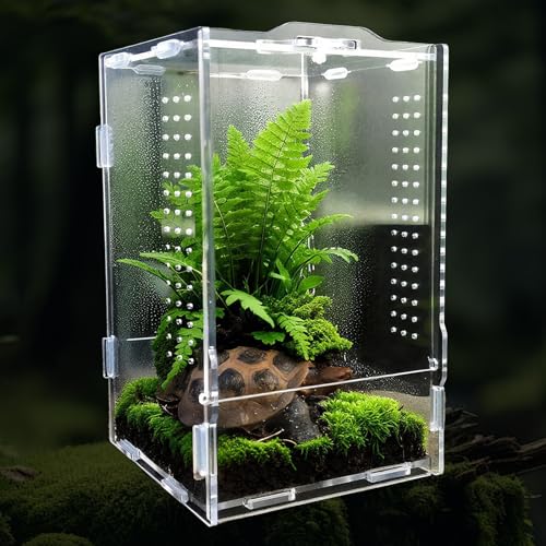 Faunarium 12x12x20cm Acryl Reptil Fütterungsbox Terrarium für Schildkröte Leopardgecko Bartagame Frosch Insekt Leguan Fisch Tarantel Amphibien Springspinne