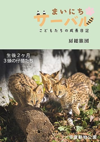 まいにちサーバル