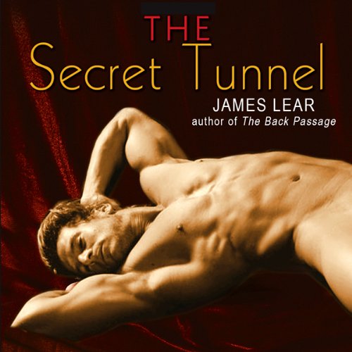 The Secret Tunnel Audiolivro Por James Lear capa