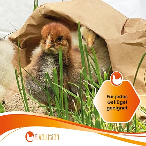 Eivolution Bio-Aufzuchtfutter Geflügel 14kg - Proteinreich - Für Küken, Hühner, Wachteln, Puten